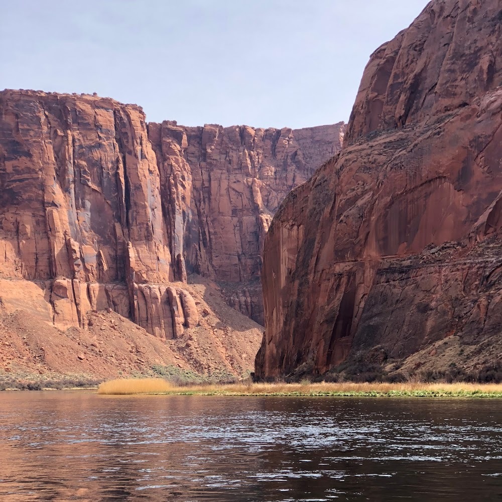 Meet your Posher, Maya